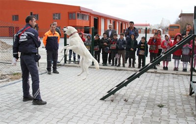 Köpekli Arama Timi Sınavı Afyon’da yapılacak