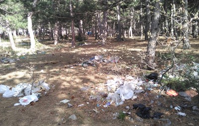 Ormanlık piknik alanı çöpten geçilmiyor