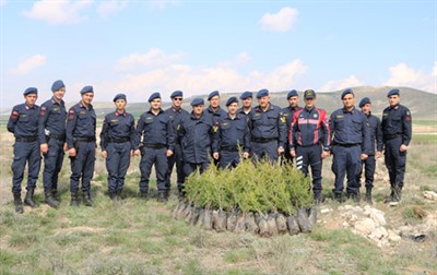 Jandarma fidan dikti – Kocatepe Gazetesi