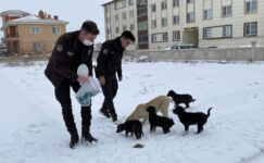 Polis hem devriye gezdi hem de sokak hayvanlarını besledi