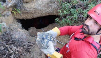 Kuyuda mahsur kalan kaplumbağaları AKUT ekipleri kurtardı