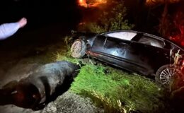 Büyükbaş hayvana çarpıp şarampole giren araçtaki AK Parti milletvekili ve oğlu yaralandı