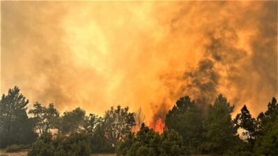Kütahya’daki orman yangınında yaralanan 2 personelin sağlık durumları iyi