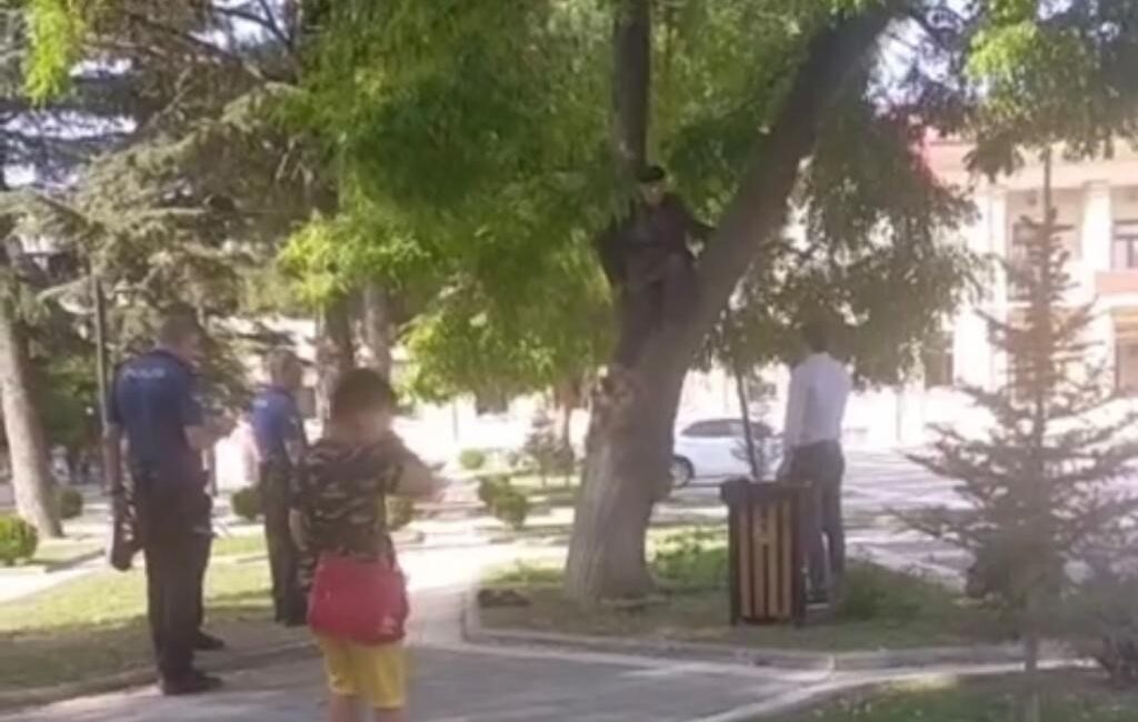 Maaşını alamayan vatandaş valilik önünde ağaca çıktı