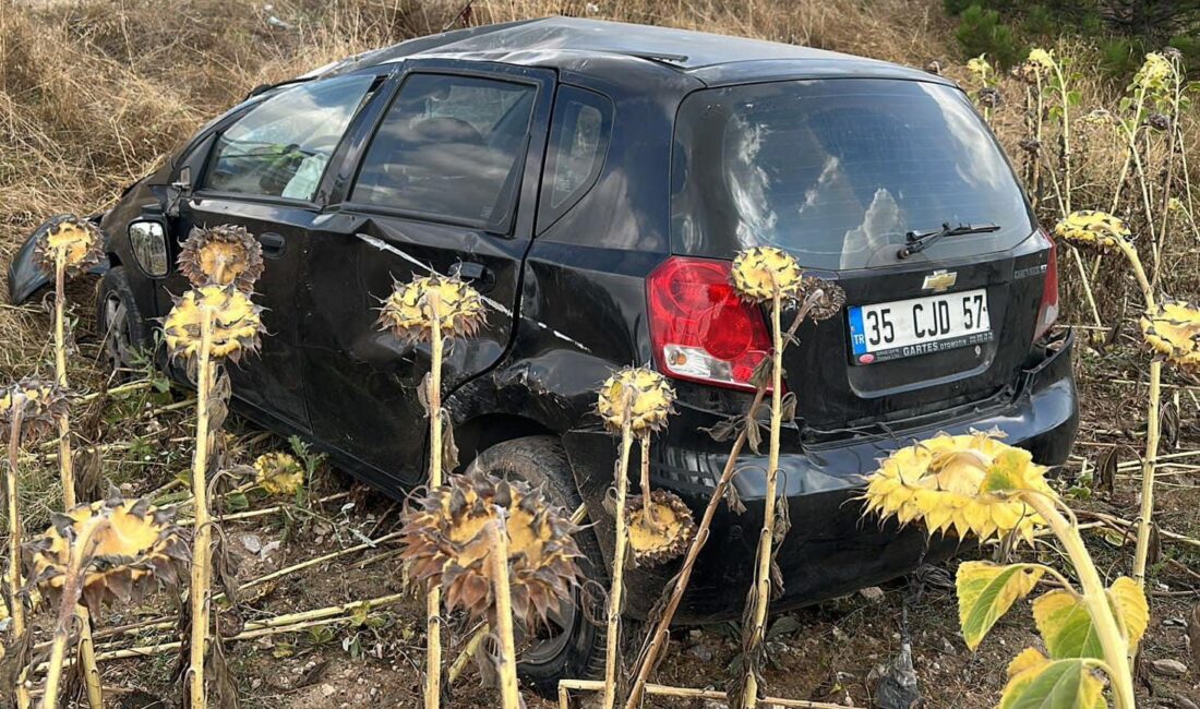 Takla atıp ayçiçek tarlasına giren otomobilde 2 kişi yaralandı