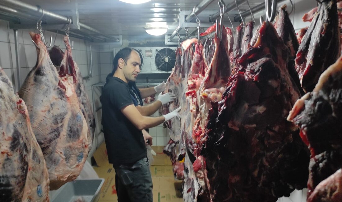Et ve et ürünleri satan işletmelere yönelik denetim