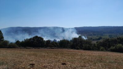 Yangında 40 dönümlük tarım arazisi zarar gördü