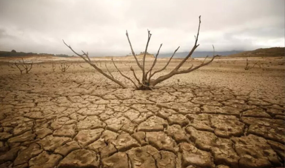 Su Kıtlığı Nedir? Su Kıtlığı Çeken Ülkeler Hangileri?